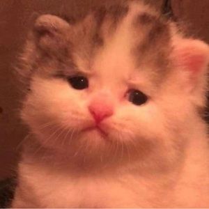 Meet your Posher, Jeremy